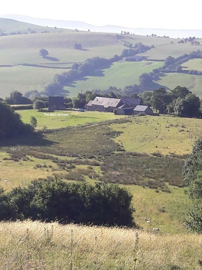 The Barn Annexe, Cefn-Yr-Allt Crickadarn Luaran gambar